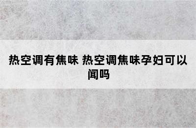 热空调有焦味 热空调焦味孕妇可以闻吗